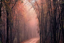 宁波海曙欧迪踢出精彩比赛，创造胜利奇迹