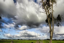 精彩纷呈的英超联赛，胜负难料引爆激情