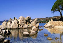 拉齐奥客场大胜，争冠势头愈发强劲