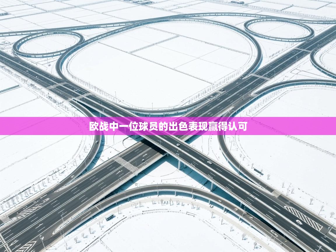 欧战中一位球员的出色表现赢得认可